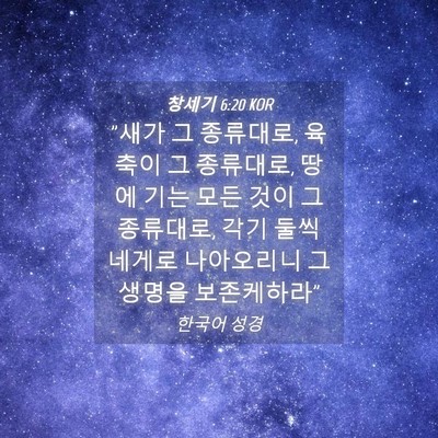 Picture 04 - 창세기 6:20 KOR - 