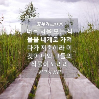 Picture 04 - 창세기 6:21 KOR - 너는 먹을 모든 식물을 네게로 - Bible Verse Picture