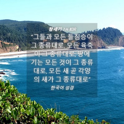 Picture 04 - 창세기 7:14 KOR - 