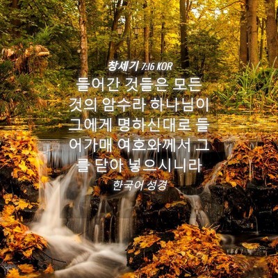 Picture 04 - 창세기 7:16 KOR - 들어간 것들은 모든 것의 암수라 - Bible Verse Picture