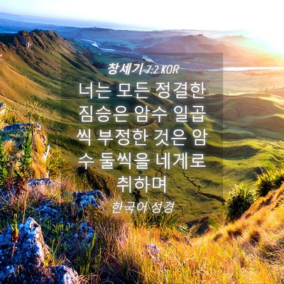 Picture 04 - 창세기 7:2 KOR - 너는 모든 정결한 짐승은 암수 - Bible Verse Picture