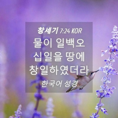 Picture 04 - 창세기 7:24 KOR - 물이 일백오십일을 땅에 - Bible Verse Picture
