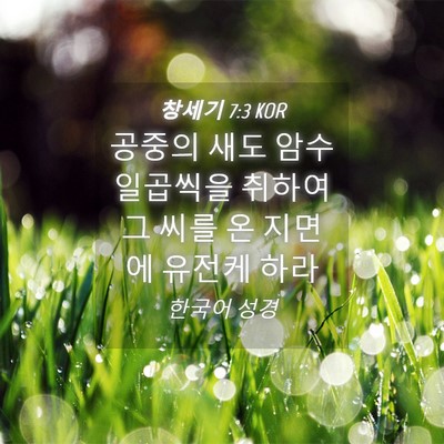 Picture 04 - 창세기 7:3 KOR - 공중의 새도 암수 일곱씩을 취하여 - Bible Verse Picture
