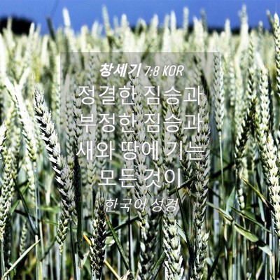 Picture 04 - 창세기 7:8 KOR - 정결한 짐승과 부정한 짐승과 새와 - Bible Verse Picture