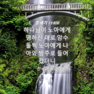 Picture 04 - 창세기 7:9 KOR - 하나님이 노아에게 명하신 대로 암수 - Bible Verse Picture