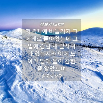 Picture 04 - 창세기 8:11 KOR - 저녁때에 비둘기가 그에게로 - Bible Verse Picture