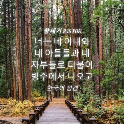 Picture 04 - 창세기 8:16 KOR - 너는 네 아내와 네 아들들과 네 - Bible Verse Picture