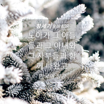 Picture 04 - 창세기 8:18 KOR - 노아가 그 아들들과 그 아내와 그 - Bible Verse Picture
