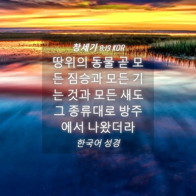 Picture 04 - 창세기 8:19 KOR - 땅위의 동물 곧 모든 짐승과 모든 - Bible Verse Picture