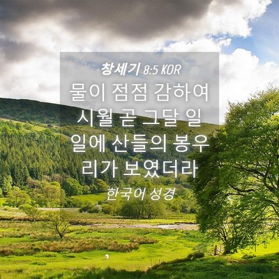 Picture 04 - 창세기 8:5 KOR - 물이 점점 감하여 시월 곧 그달 - Bible Verse Picture