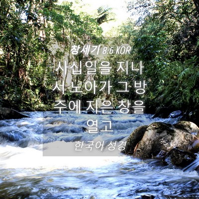 Picture 04 - 창세기 8:6 KOR - 사십일을 지나서 노아가 그 방주에 - Bible Verse Picture