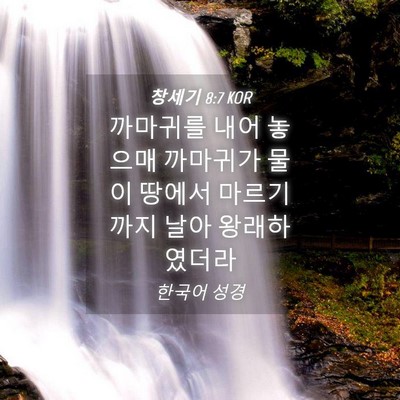 Picture 04 - 창세기 8:7 KOR - 까마귀를 내어 놓으매 까마귀가 물이 - Bible Verse Picture