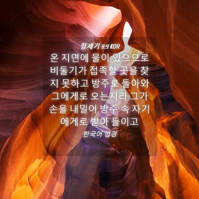 Picture 04 - 창세기 8:9 KOR - 온 지면에 물이 있으므로 비둘기가 - Bible Verse Picture