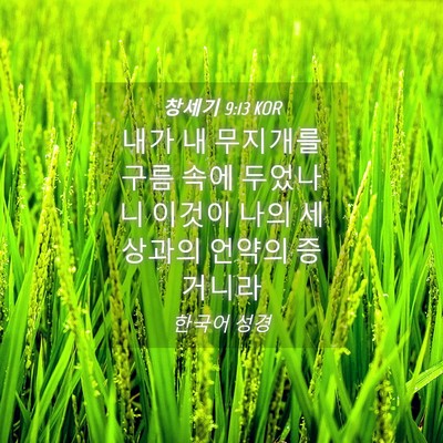 Picture 04 - 창세기 9:13 KOR - 내가 내 무지개를 구름 속에 - Bible Verse Picture