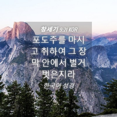 Picture 04 - 창세기 9:21 KOR - 포도주를 마시고 취하여 그 장막 - Bible Verse Picture