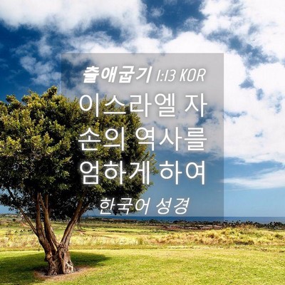 Picture 04 - 출애굽기 1:13 KOR - 이스라엘 자손의 역사를 엄하게 - Bible Verse Picture