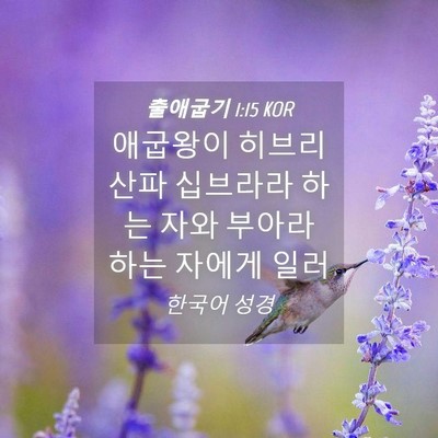 Picture 04 - 출애굽기 1:15 KOR - 애굽왕이 히브리 산파 십브라라 하는 - Bible Verse Picture