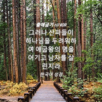 Picture 04 - 출애굽기 1:17 KOR - 그러나 산파들이 하나님을 - Bible Verse Picture