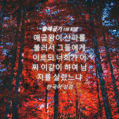 Picture 04 - 출애굽기 1:18 KOR - 애굽왕이 산파를 불러서 그들에게 - Bible Verse Picture