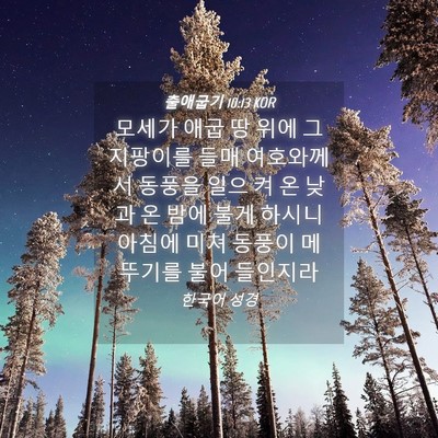 Picture 04 - 출애굽기 10:13 KOR - 모세가 애굽 땅 위에 그 지팡이를 - Bible Verse Picture