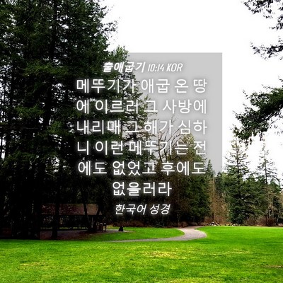 Picture 04 - 출애굽기 10:14 KOR - 메뚜기가 애굽 온 땅에 이르러 그 - Bible Verse Picture