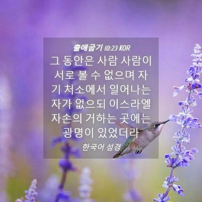 Picture 04 - 출애굽기 10:23 KOR - 그 동안은 사람 사람이 서로 볼 수 - Bible Verse Picture
