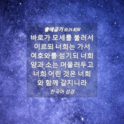 Picture 04 - 출애굽기 10:24 KOR - 바로가 모세를 불러서 이르되 너희는 - Bible Verse Picture