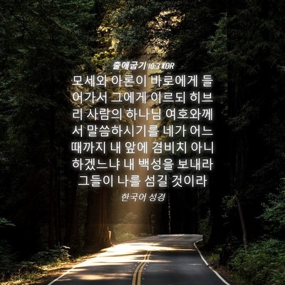 Picture 04 - 출애굽기 10:3 KOR - 모세와 아론이 바로에게 들어가서 - Bible Verse Picture