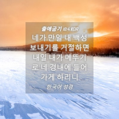 Picture 04 - 출애굽기 10:4 KOR - 네가 만일 내 백성 보내기를 - Bible Verse Picture