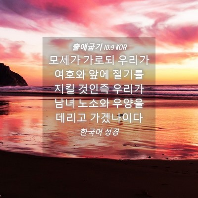 Picture 04 - 출애굽기 10:9 KOR - 모세가 가로되 우리가 여호와 앞에 - Bible Verse Picture