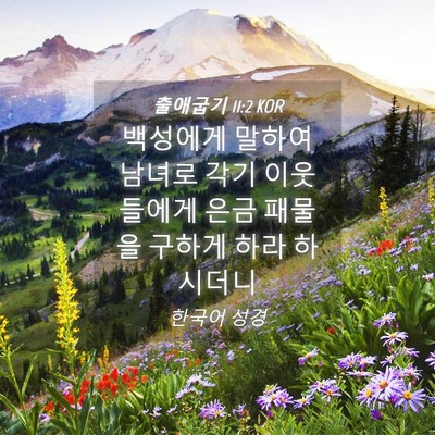 Picture 04 - 출애굽기 11:2 KOR - 백성에게 말하여 남녀로 각기 - Bible Verse Picture