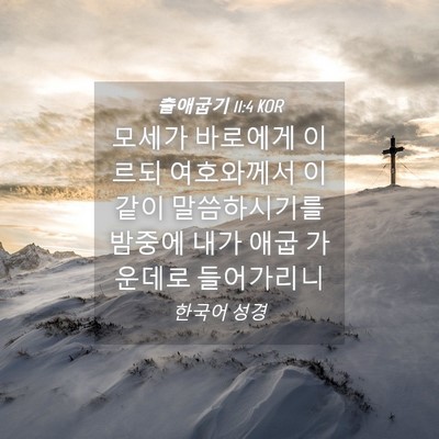 Picture 04 - 출애굽기 11:4 KOR - 모세가 바로에게 이르되 여호와께서 - Bible Verse Picture
