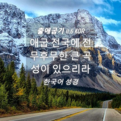 Picture 04 - 출애굽기 11:6 KOR - 애굽 전국에 전무후무한 큰 곡성이 - Bible Verse Picture