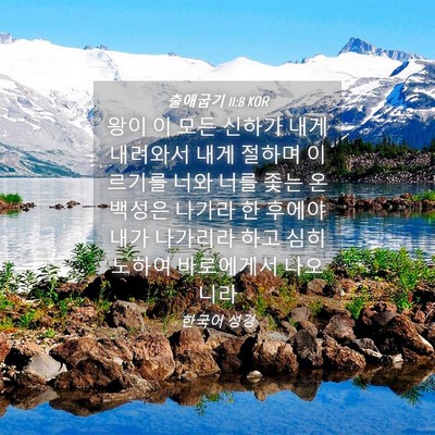 Picture 04 - 출애굽기 11:8 KOR - 왕이 이 모든 신하가 내게 내려와서 - Bible Verse Picture
