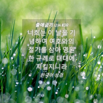 Picture 04 - 출애굽기 12:14 KOR - 너희는 이 날을 기념하여 여호와의 - Bible Verse Picture