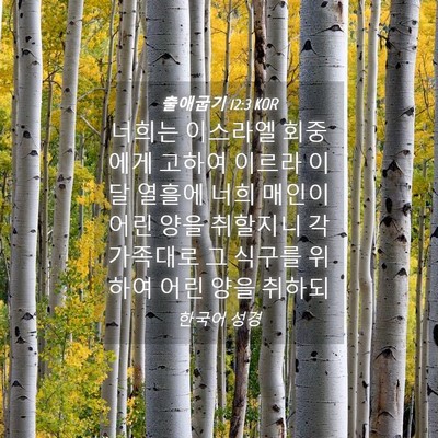 Picture 04 - 출애굽기 12:3 KOR - 너희는 이스라엘 회중에게 고하여 - Bible Verse Picture