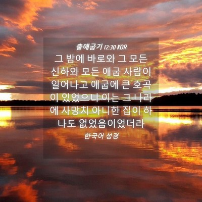 Picture 04 - 출애굽기 12:30 KOR - 그 밤에 바로와 그 모든 신하와 모든 - Bible Verse Picture