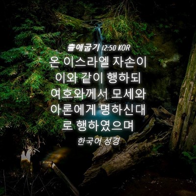 Picture 04 - 출애굽기 12:50 KOR - 온 이스라엘 자손이 이와 같이 - Bible Verse Picture