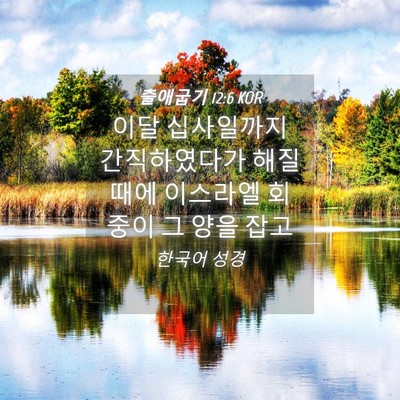 Picture 04 - 출애굽기 12:6 KOR - 이달 십사일까지 간직하였다가 해질 - Bible Verse Picture
