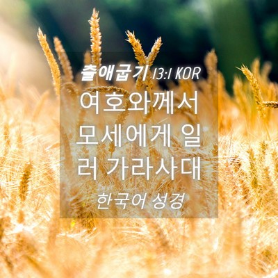 Picture 04 - 출애굽기 13:1 KOR - 여호와께서 모세에게 일러 - Bible Verse Picture