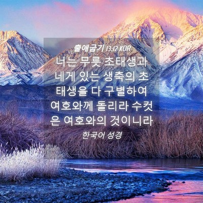 Picture 04 - 출애굽기 13:12 KOR - 너는 무릇 초태생과 네게 있는 - Bible Verse Picture