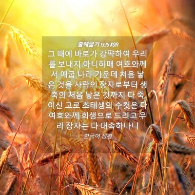 Picture 04 - 출애굽기 13:15 KOR - 그 때에 바로가 강퍅하여 우리를 - Bible Verse Picture