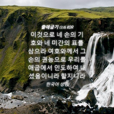Picture 04 - 출애굽기 13:16 KOR - 이것으로 네 손의 기호와 네 미간의 - Bible Verse Picture