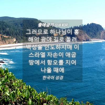 Picture 04 - 출애굽기 13:18 KOR - 그러므로 하나님이 홍해의 광야 길로 - Bible Verse Picture