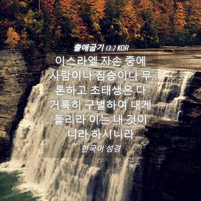 Picture 04 - 출애굽기 13:2 KOR - 이스라엘 자손 중에 사람이나 - Bible Verse Picture