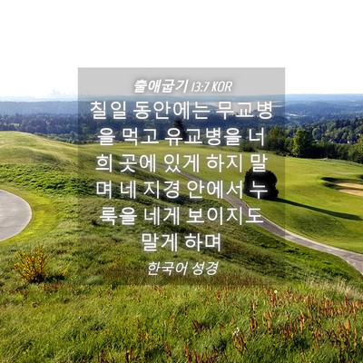 Picture 04 - 출애굽기 13:7 KOR - 칠일 동안에는 무교병을 먹고 - Bible Verse Picture