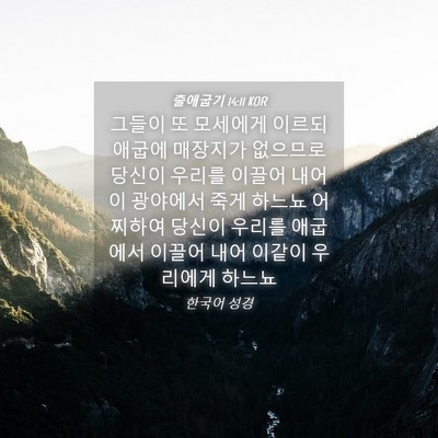 Picture 04 - 출애굽기 14:11 KOR - 그들이 또 모세에게 이르되 애굽에 - Bible Verse Picture