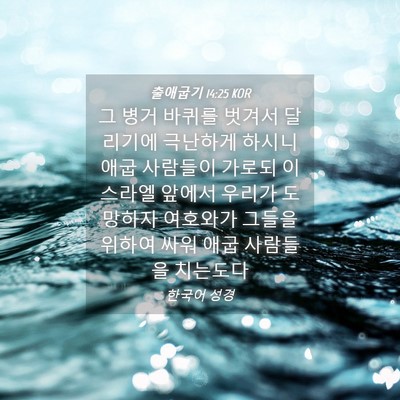 Picture 04 - 출애굽기 14:25 KOR - 그 병거 바퀴를 벗겨서 달리기에 - Bible Verse Picture