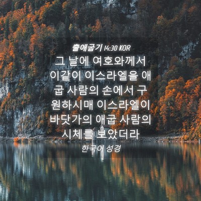 Picture 04 - 출애굽기 14:30 KOR - 그 날에 여호와께서 이같이 - Bible Verse Picture