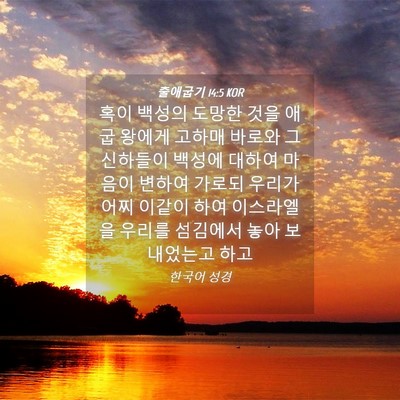 Picture 04 - 출애굽기 14:5 KOR - 혹이 백성의 도망한 것을 애굽 - Bible Verse Picture